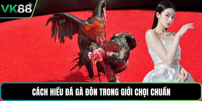 Cách hiểu đá gà đòn trong giới chọi chuẩn