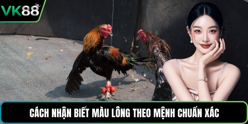 Cách nhận biết màu lông theo mệnh chuẩn xác