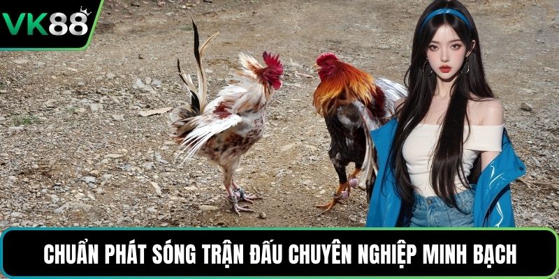 Chuẩn phát sóng trận đấu chuyên nghiệp minh bạch