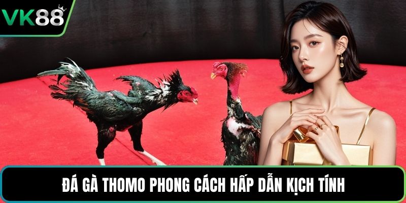 Đá gà Thomo phong cách hấp dẫn kịch tính
