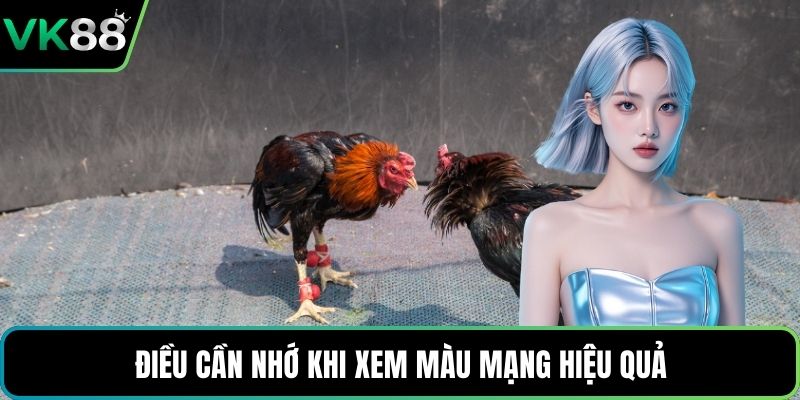 Điều cần nhớ khi xem màu mạng hiệu quả